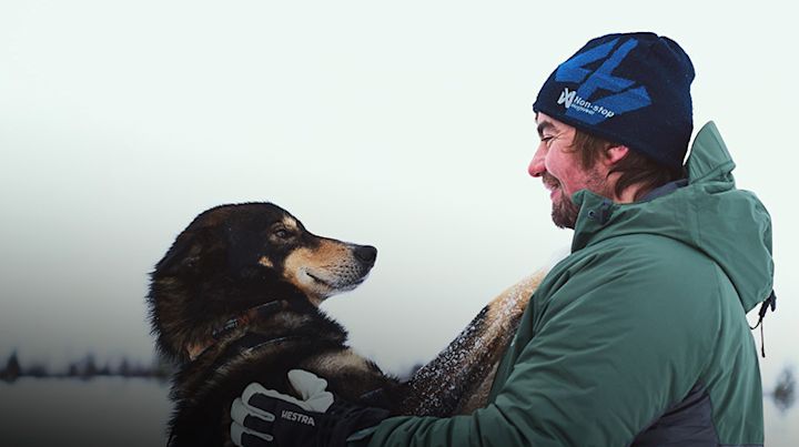 Ambassadører Ambassadører