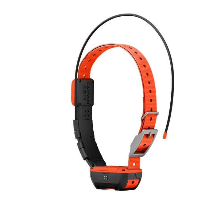 Garmin Alpha T20 GPS Collar Nordic Black Garmin