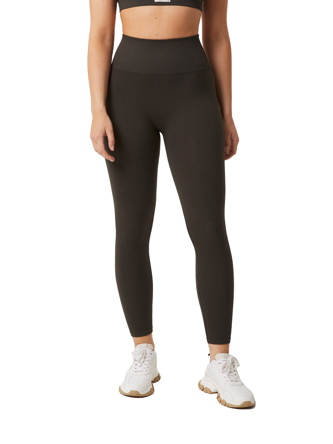 Björn Borg Women’s Studio Seamless Rib Tights Peat