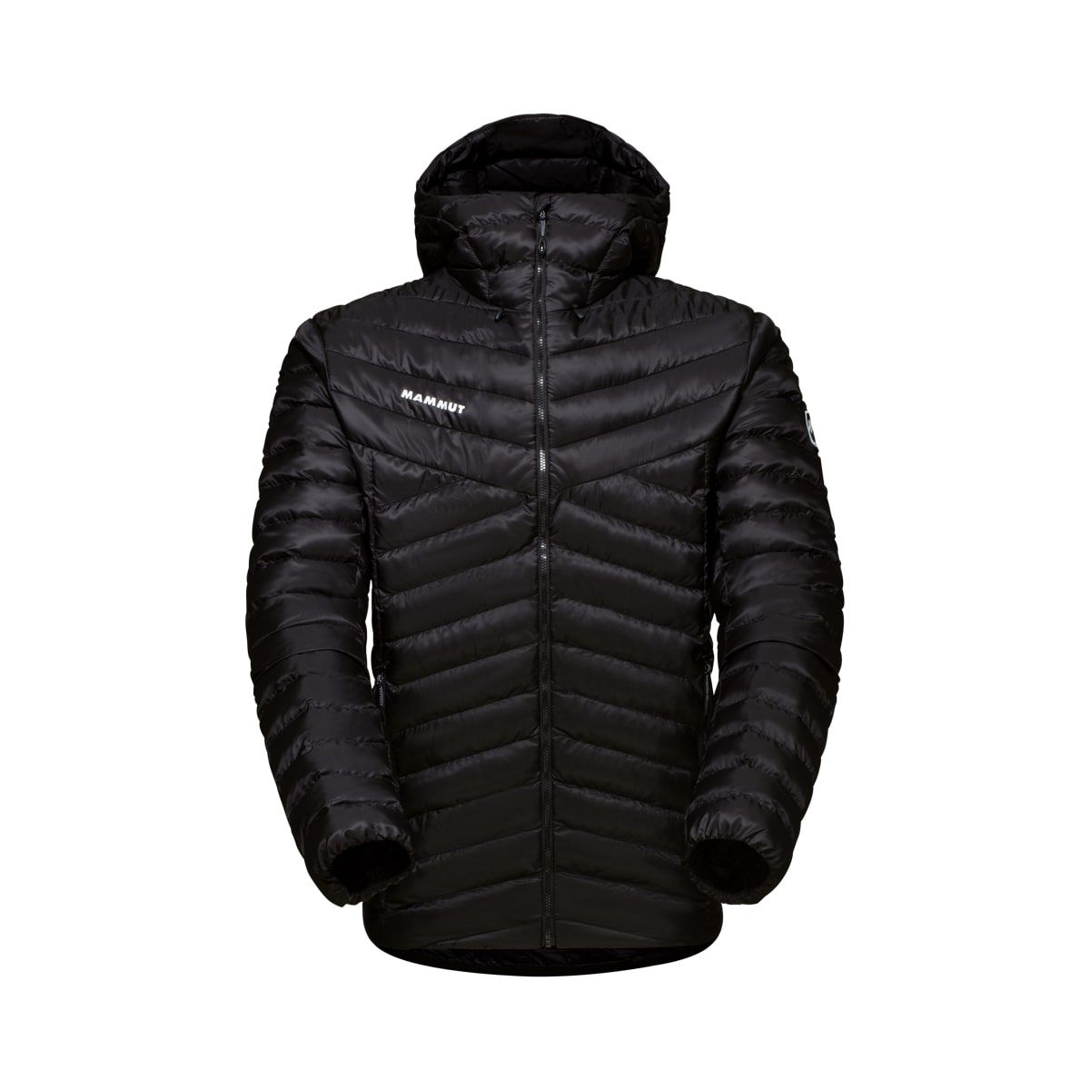 Mammut Albula In Hooded Jacket Men Black