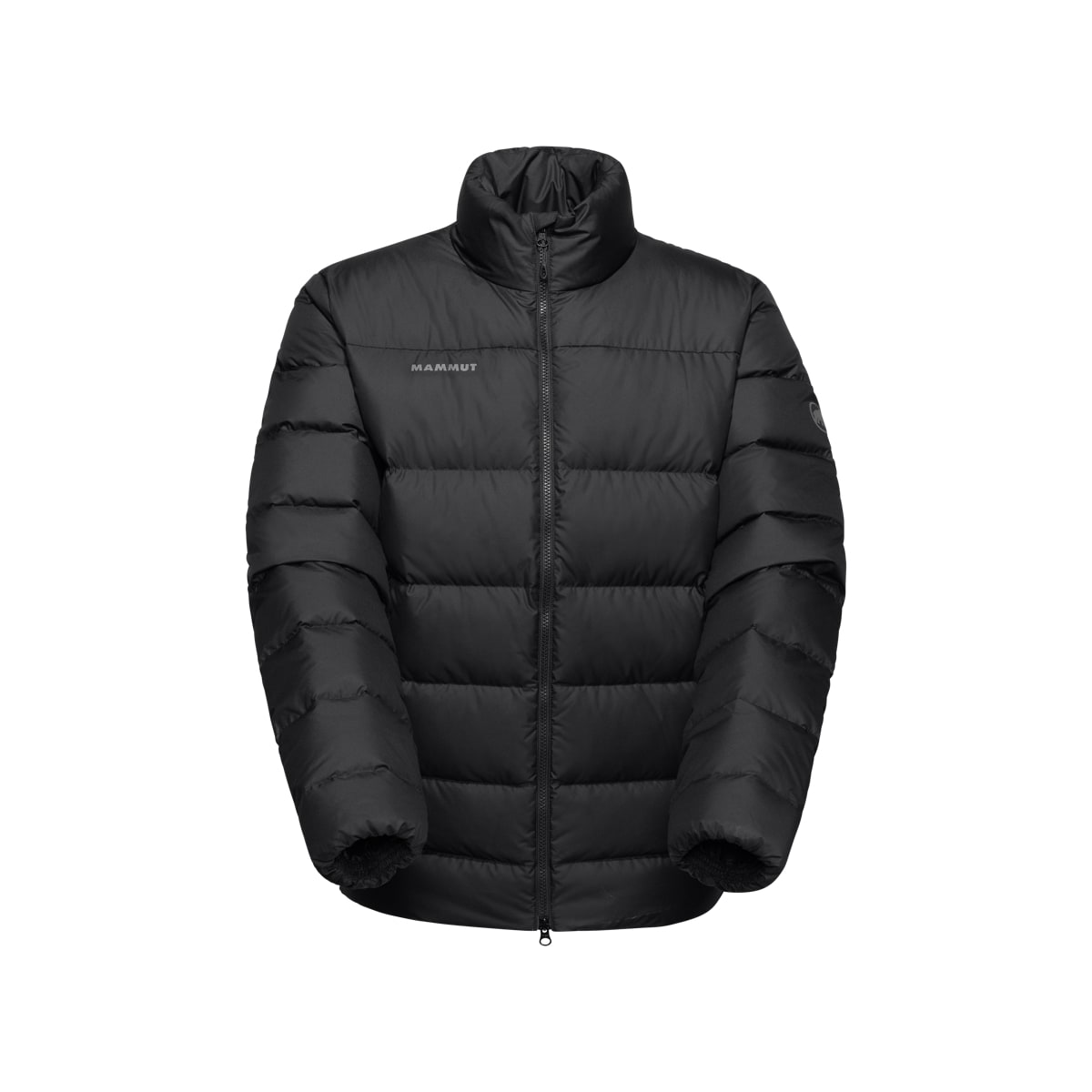 Mammut Whitehorn In Jacket Men Black