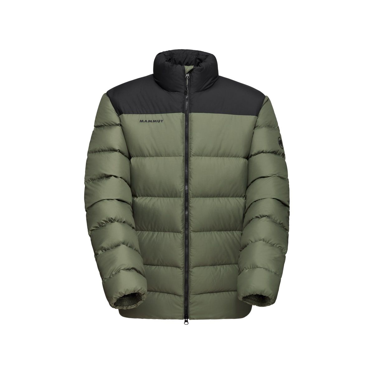 Mammut Whitehorn In Jacket Men Marsh-Black