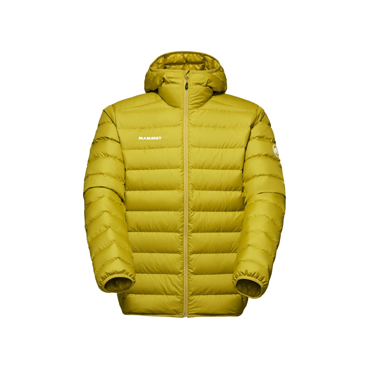 Mammut Waymarker In Hooded Jacket Men Aura