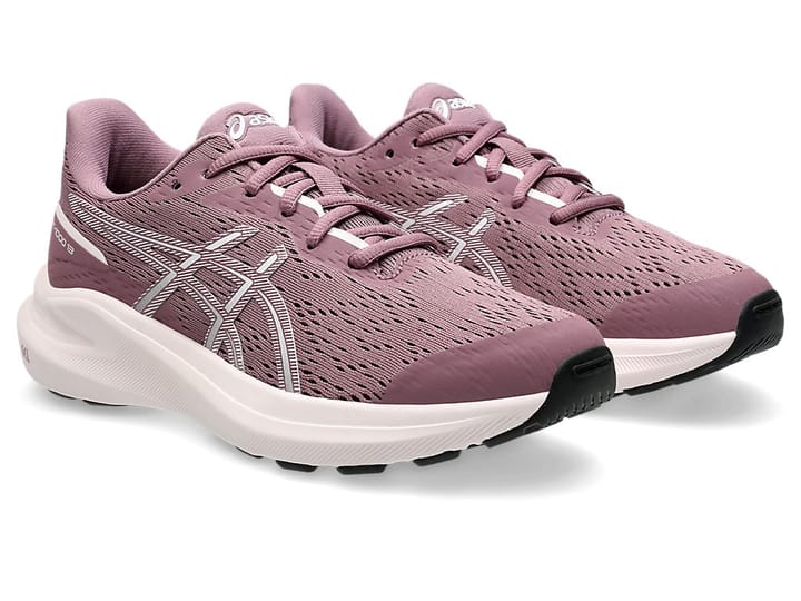 Asics Gt-1000 13 Gs Dusty Mauve/White Asics