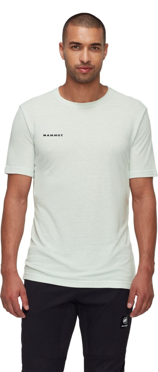 Mammut Massone Light T-Shirt Men Silver Sage