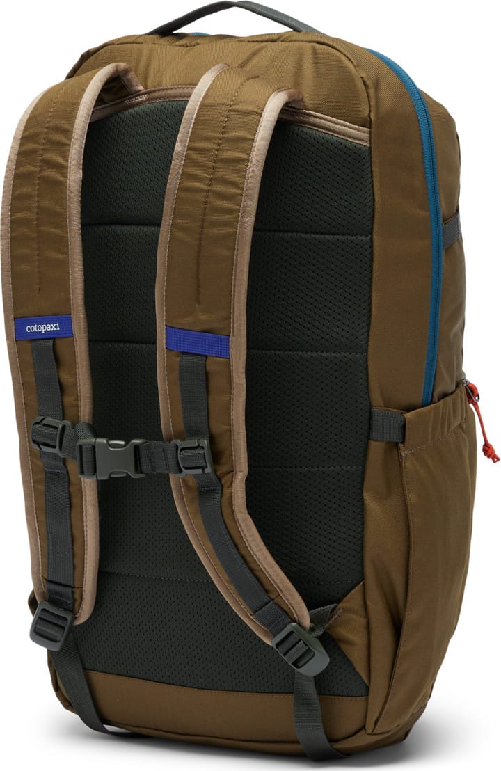 Cotopaxi Chiquillo 26L Backpack - Cada Dia Live Oak Cotopaxi