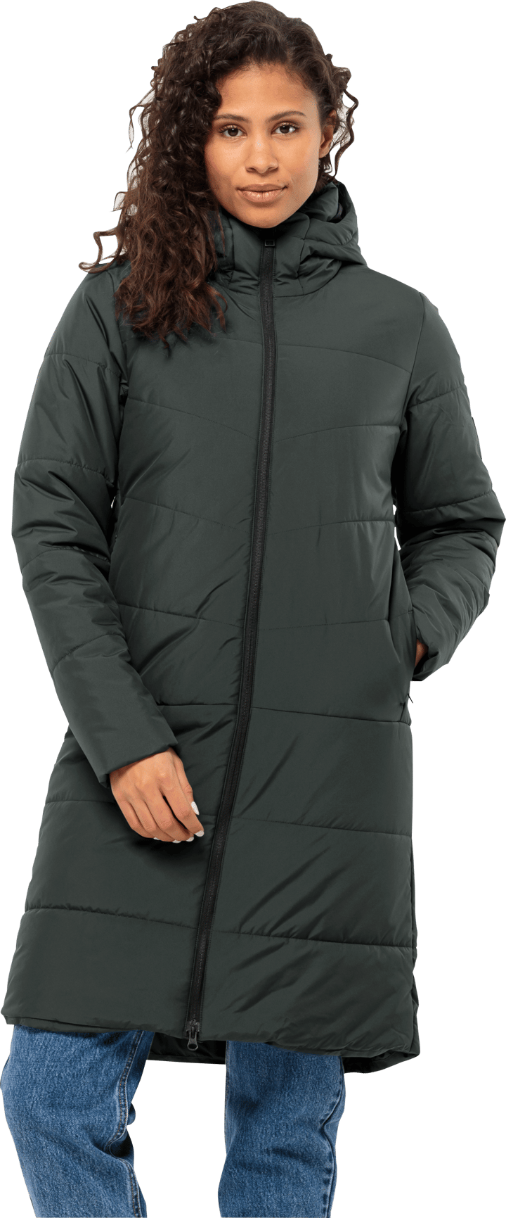 Jack Wolfskin Women's Deutzer Coat Slate Green Jack Wolfskin