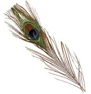 Wapsi Peacock Eyes Wapsi