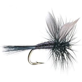 Umpqua Flies Black Gnat Black/grey Umpqua Flies