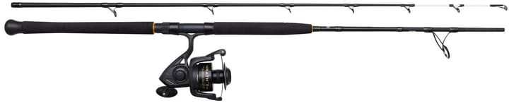 Penn Penn Wrath Ii Boat Spinning Combo Penn