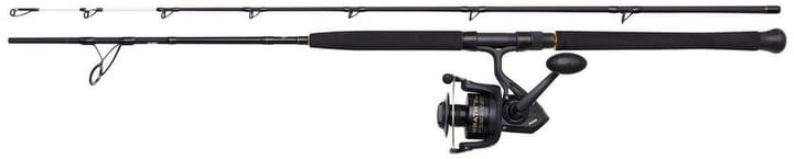 Penn Penn Wrath Ii Boat Spinning Combo Penn