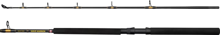 Penn Penn Wave Warrior Linecounter Combo Havfiskesett 2-Delt 6' 30lbs Penn