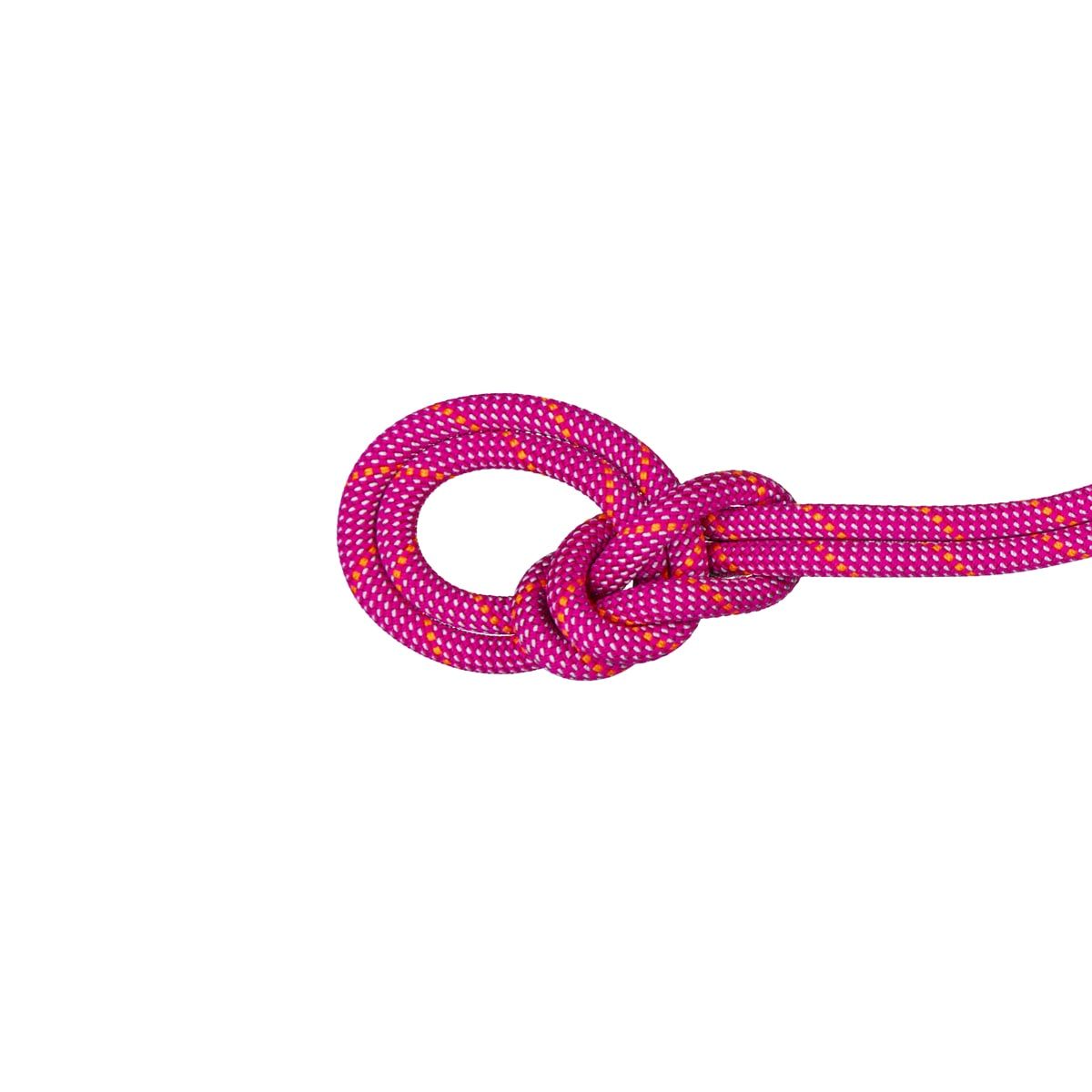 Mammut 9.5 Crag Dry Rope Dry Standard/Pink/Zen