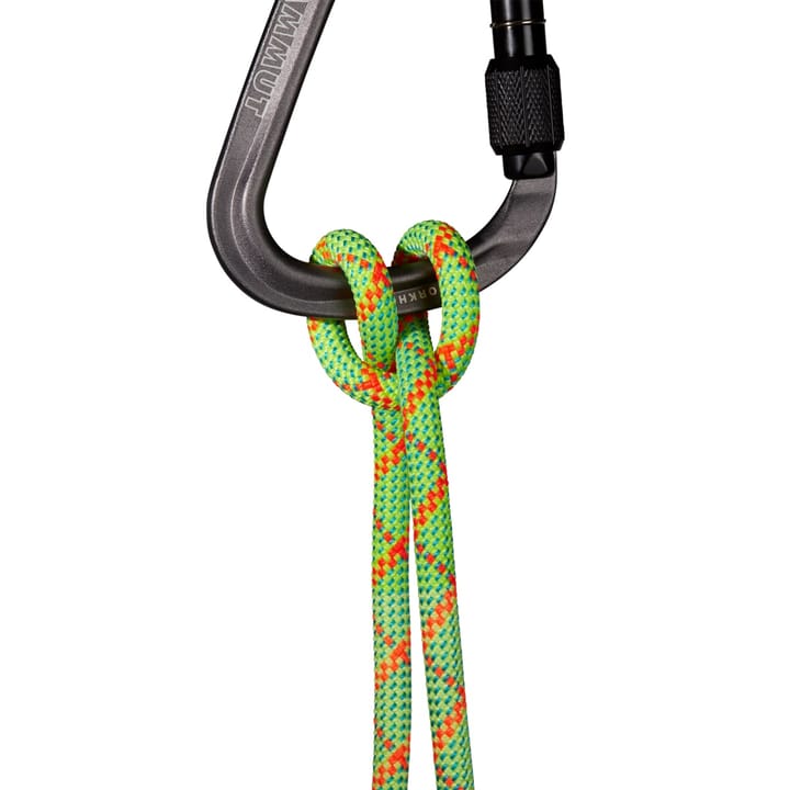 Mammut 8.0 Alpine Core Protect Dry Rope Dry Standard, Halo-Vibrant Orange 60m Mammut