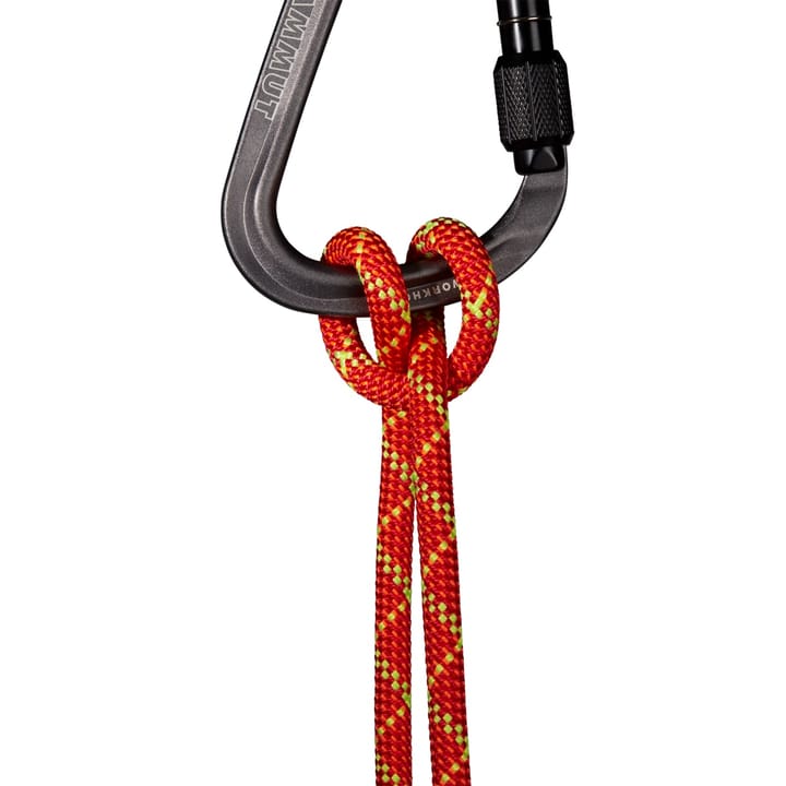 Mammut 8.0 Alpine Core Protect Dry Rope Dry Standard, Fire-halo 50m Mammut