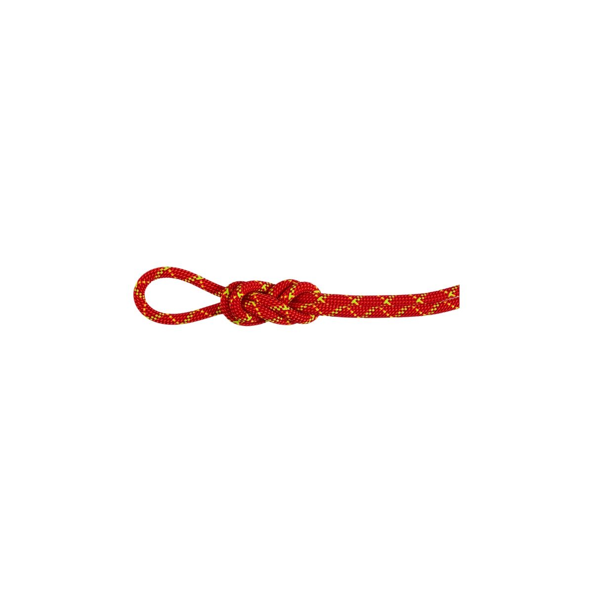 Mammut 8.0 Alpine Core Protect Dry Rope Dry Standard, Fire-Halo 60m