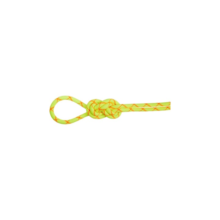 Mammut 9.5 Alpine Core Protect Dry Rope Dry Standard, Halo-Vibrant Orange 50m Mammut