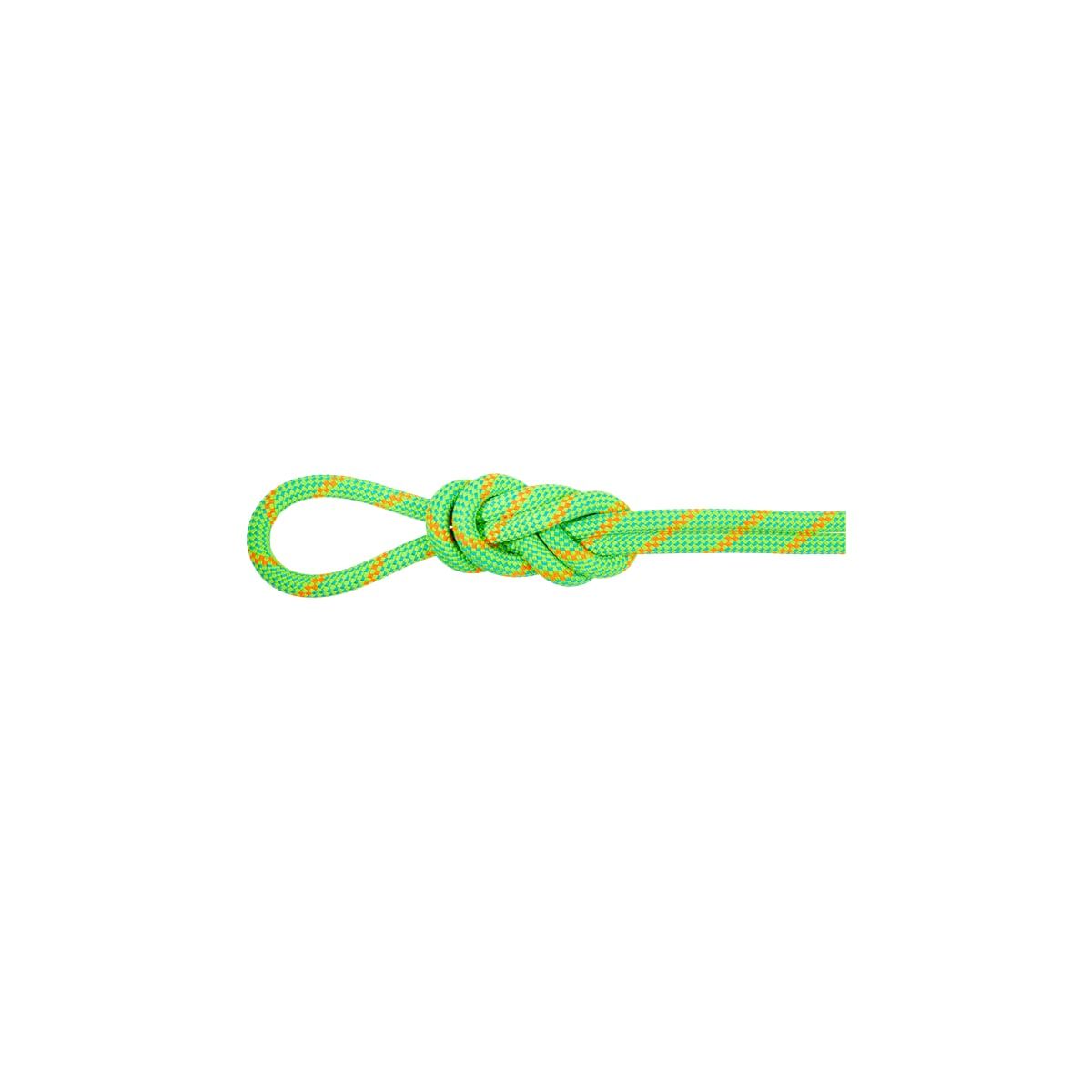 Mammut 8.0 Alpine Eco Dry Rope 30m Neon Green-vibrant Orange