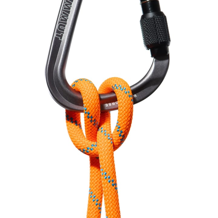 Mammut 8.7 Alpine Sender Dry Rope 30m Vibrant Orange-ocean Mammut