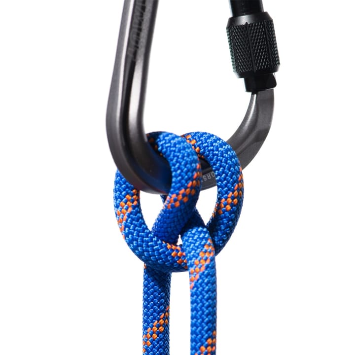 Mammut 9.0 Alpine Sender Dry Rope 30m Ice-sunrise Mammut