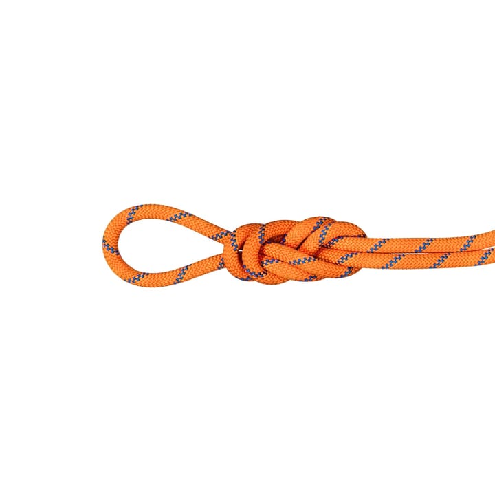 Mammut 9.0 Alpine Sender Dry Rope 50m Sunrise-ice Mammut