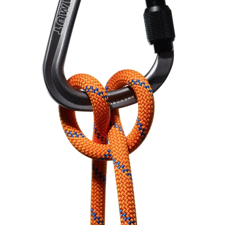 Mammut 9.0 Alpine Sender Dry Rope 60m Sunrise-ice Mammut