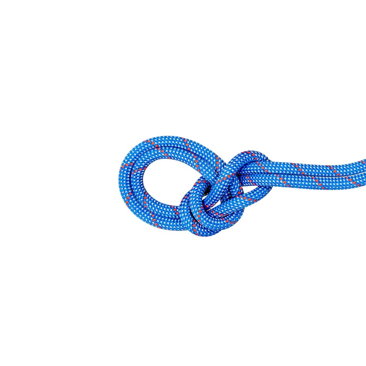 Mammut 9.5 Crag Classic Rope 60m Blue-white