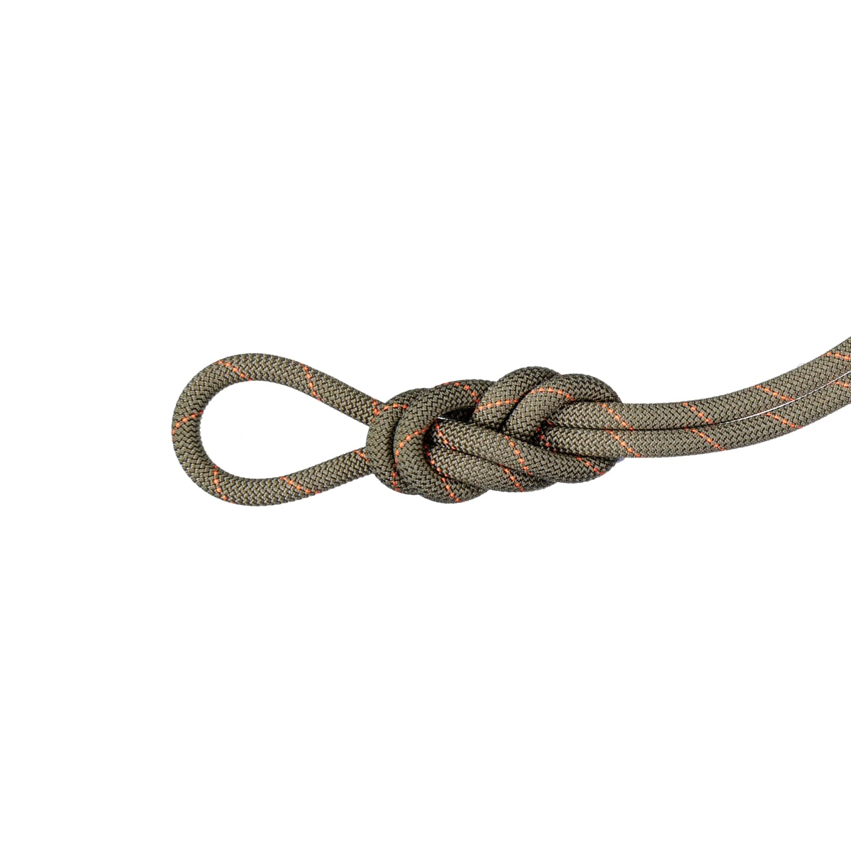 Climbing Rope | 9.9 Gym Workhorse Classic Rope 40m Boa | Mammut