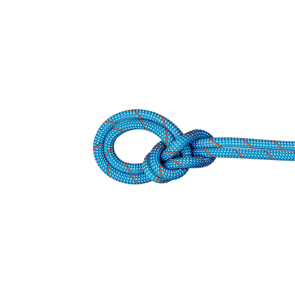 Climbing Rope | 9.8 Crag Classic Rope 60m Ice Mint-white | Mammut