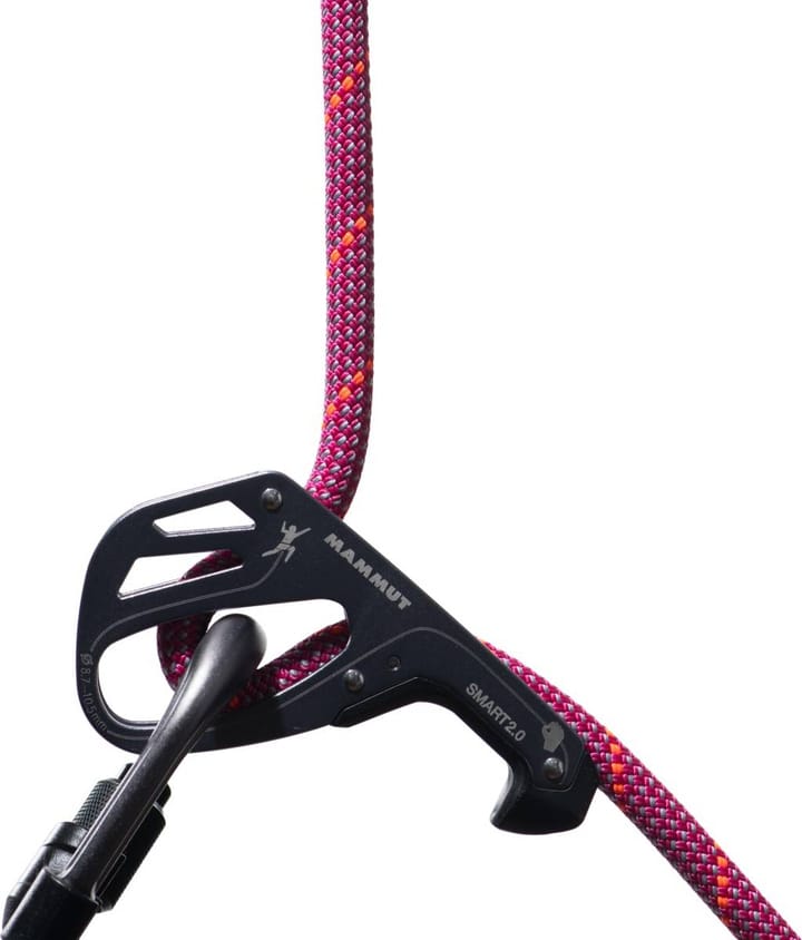 Mammut 9.5 Crag Dry Rope 60m Pink-zen Mammut