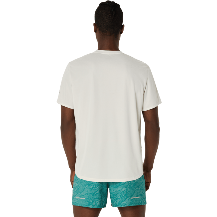 Asics Men's Fujitrail Logo Short Sleeve Top Birch/white Sage/rainy Lake Asics