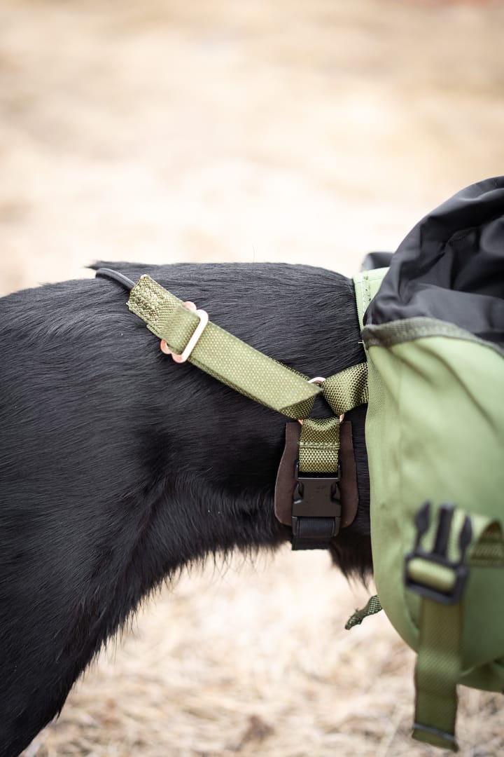 Seleverkstedet Togo hundekløv Grønn/brun Mini+ Seleverkstedet