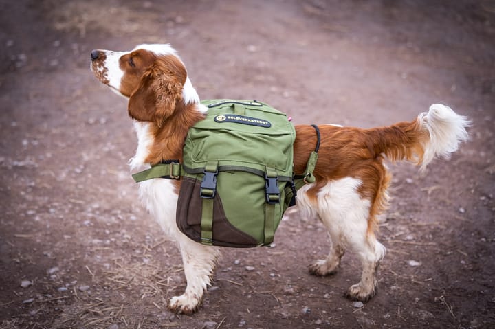 Seleverkstedet Togo hundekløv Grønn/brun XS Seleverkstedet