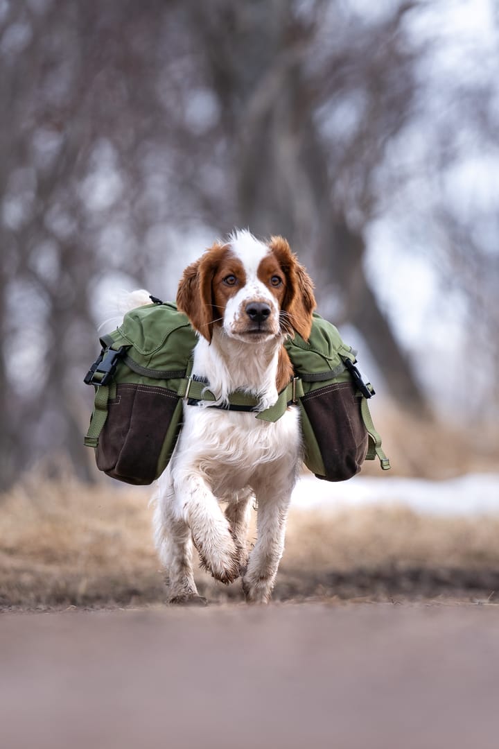 Seleverkstedet Togo hundekløv Grønn/brun XS Seleverkstedet