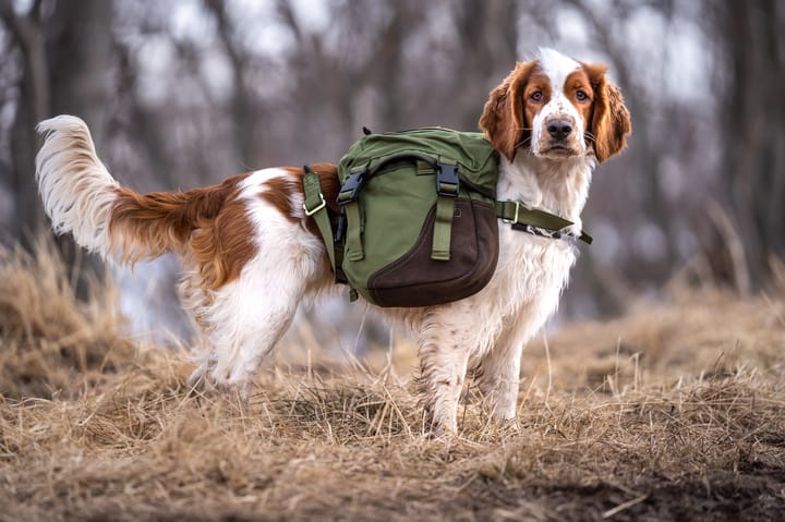 Seleverkstedet Togo hundekløv Grønn/brun XS Seleverkstedet