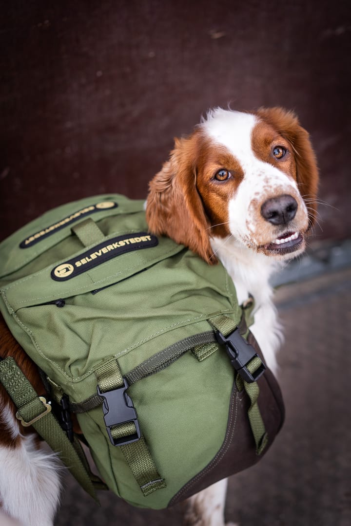 Seleverkstedet Togo hundekløv Grønn/brun XS Seleverkstedet