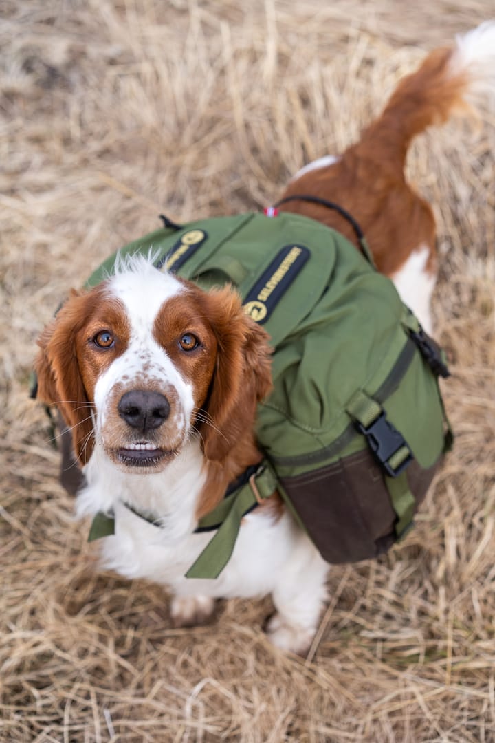 Seleverkstedet Togo hundekløv Grønn/brun XS Seleverkstedet