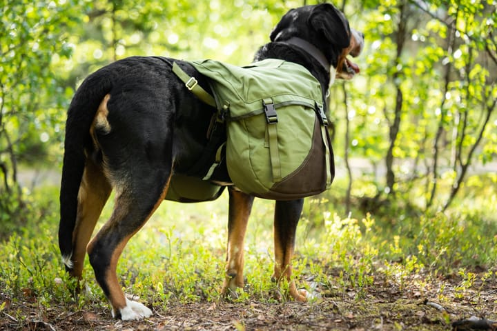 Seleverkstedet Togo hundekløv Grønn/brun XL Seleverkstedet