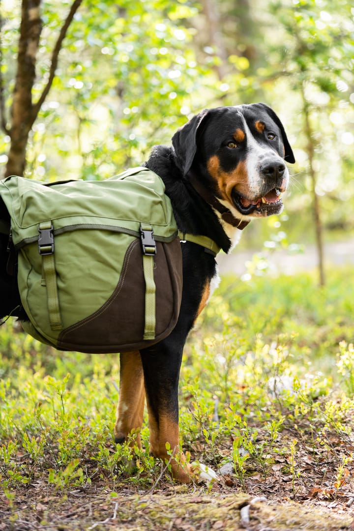 Seleverkstedet Togo hundekløv Grønn/brun XL Seleverkstedet