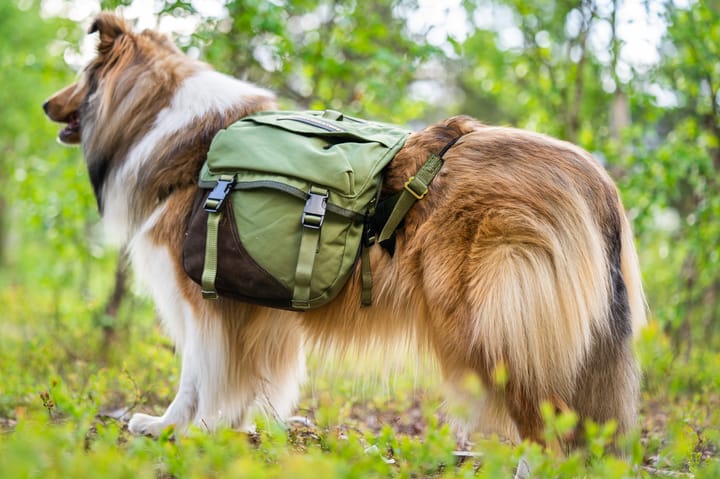 Seleverkstedet Togo hundekløv Grønn/brun S Seleverkstedet