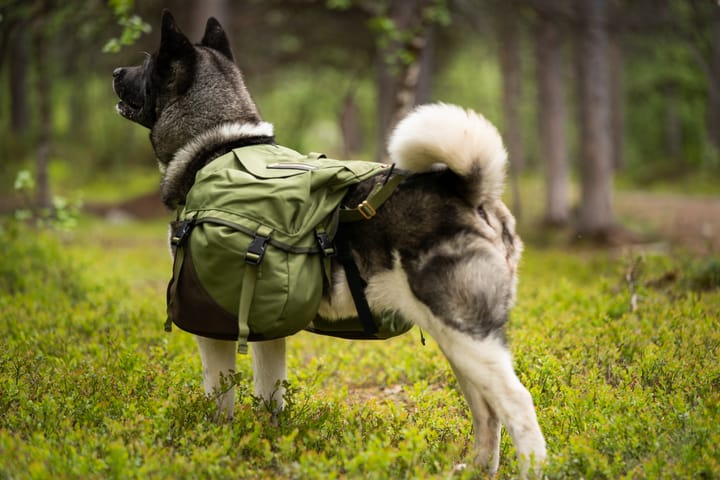 Seleverkstedet Togo hundekløv Grønn/brun L Seleverkstedet