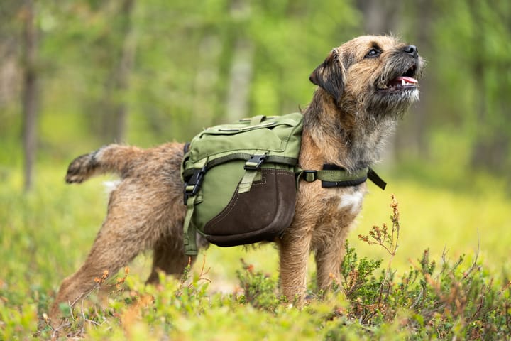 Seleverkstedet Togo hundekløv Grønn/brun Mini Seleverkstedet