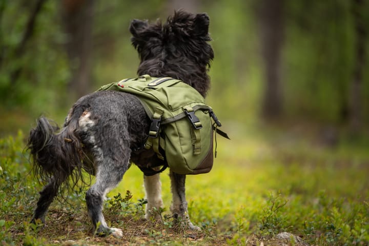 Seleverkstedet Togo hundekløv Grønn/brun Mini+ Seleverkstedet