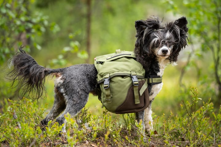 Seleverkstedet Togo hundekløv Grønn/brun Mini+ Seleverkstedet