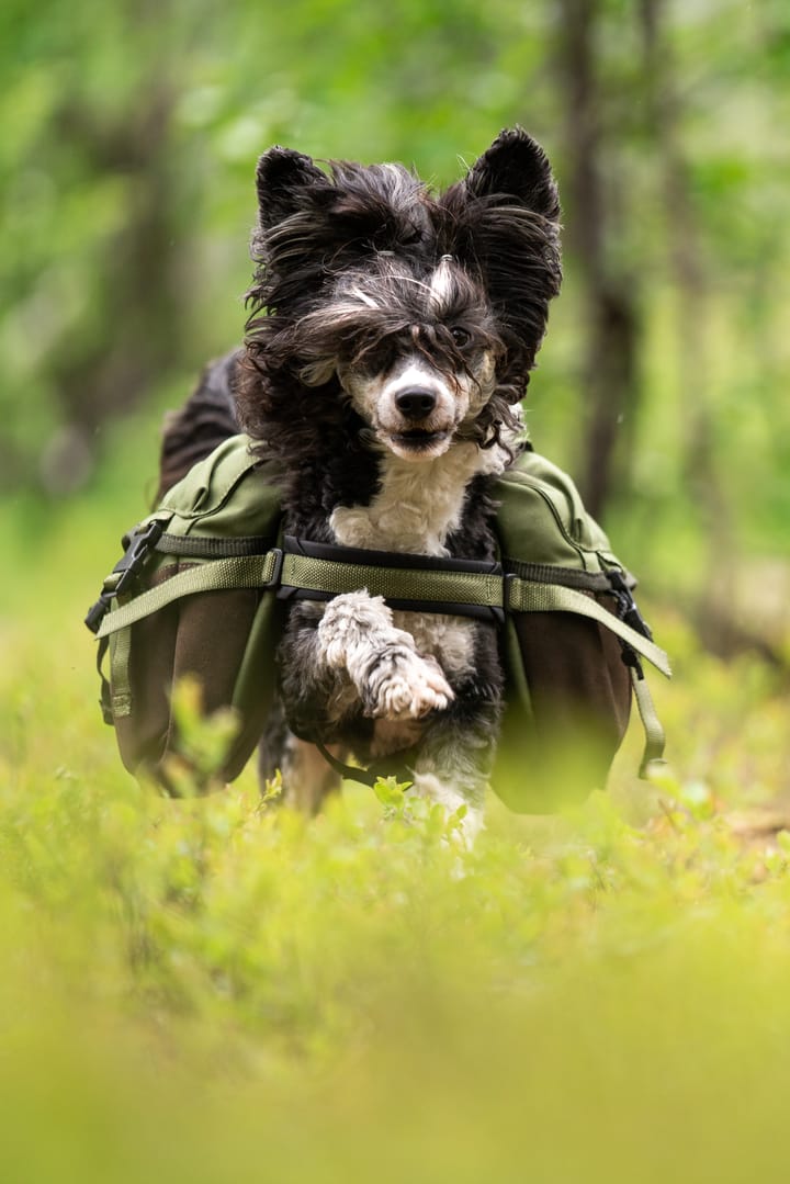 Seleverkstedet Togo hundekløv Grønn/brun Mini+ Seleverkstedet