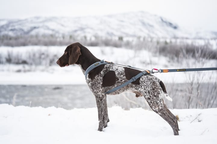 Trekreg dog harness Grå/brun XS Seleverkstedet