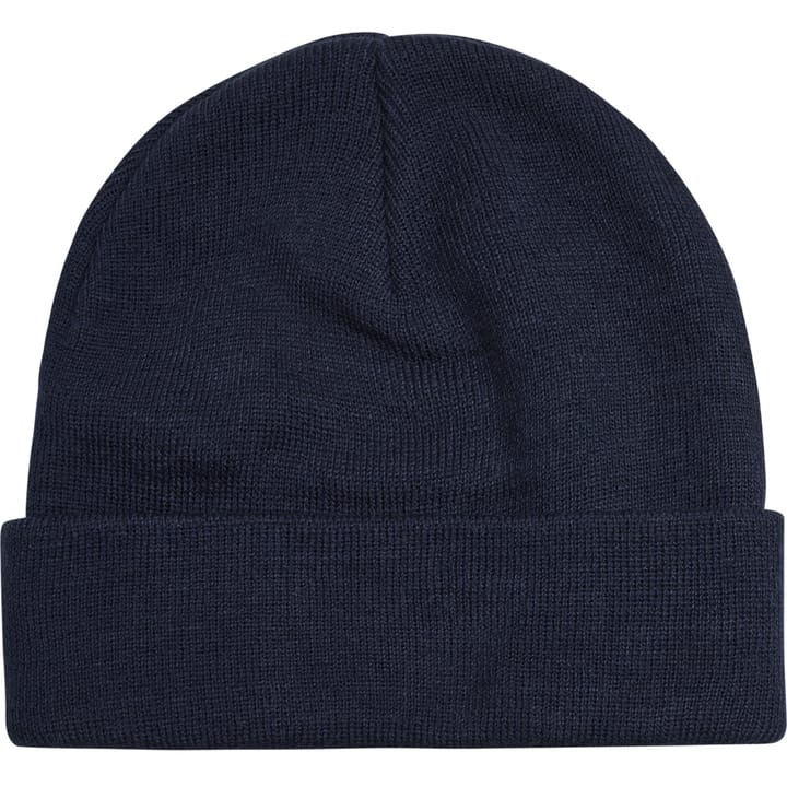 Hummel Kids' hmlPARK Beanie (2022) Black Iris Hummel