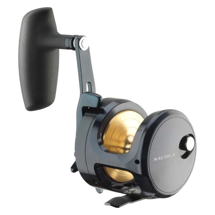 Daiwa Daiwa 24 Saltiga (G) Daiwa