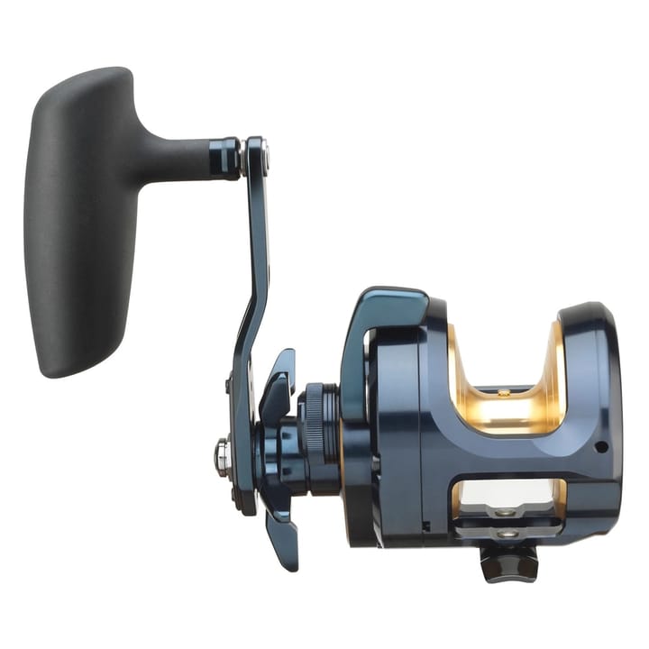 Daiwa Daiwa 24 Saltiga (G) Daiwa