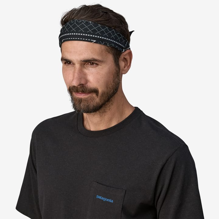 Patagonia Bandana Skunk Parade: Endless Blue Patagonia